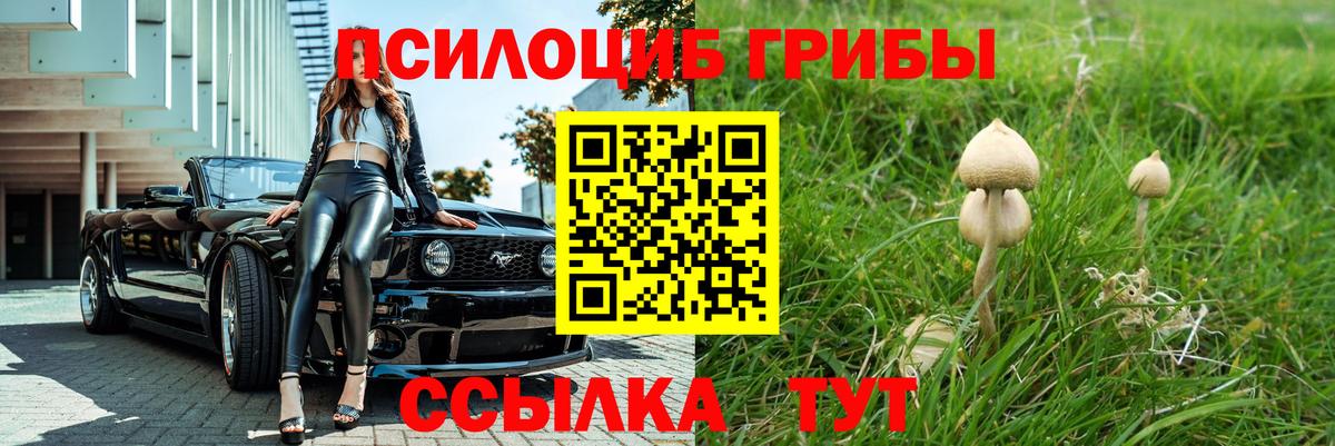 Псилоцибиновые грибы мухоморы  Вход с VPN  Ржев 